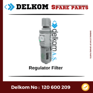 Regulator Filter