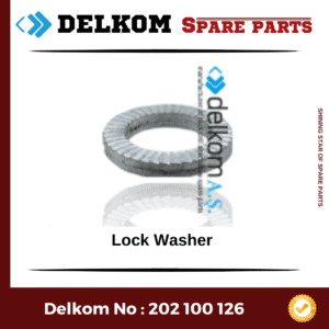 Lock Washer