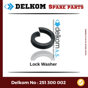 Lock Washer